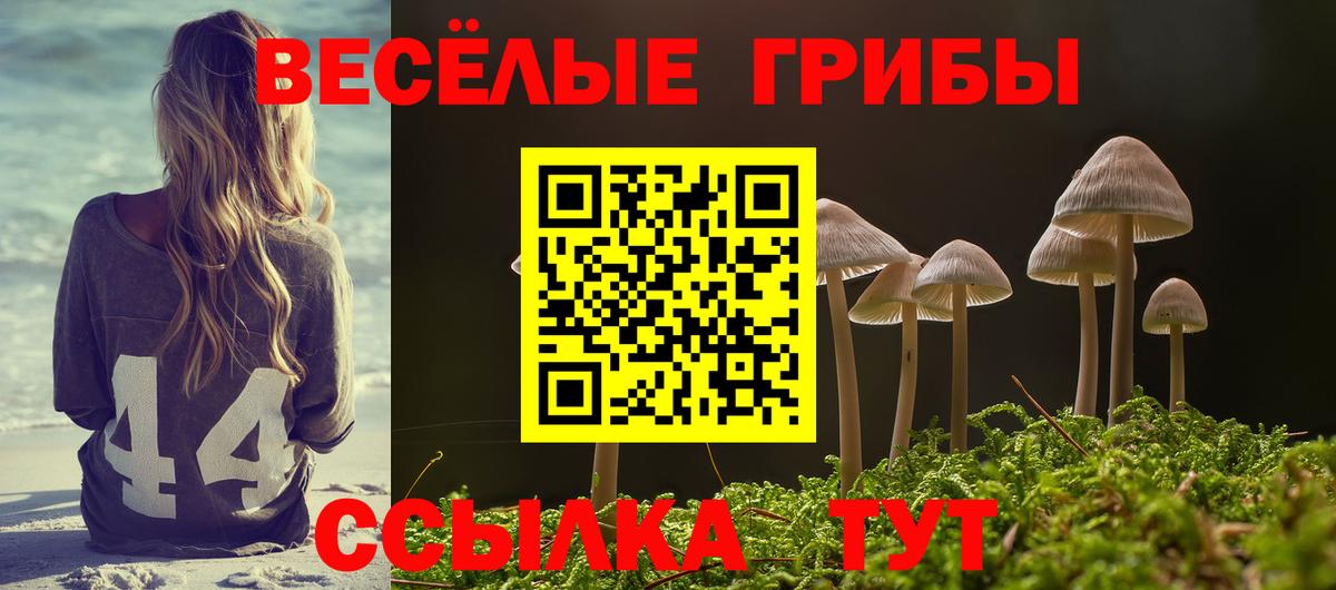Ипатово  Галлюциногенные грибы GOLDEN TEACHER  Галлюциногенные грибы Cubensis  Вход с VPN 